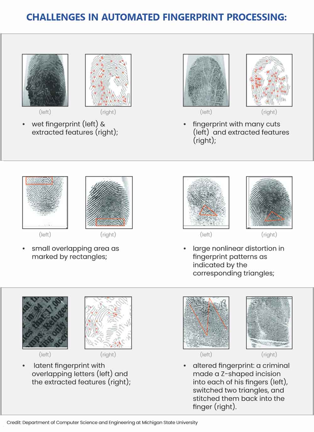 automated fingerprint processing