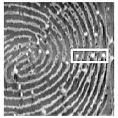 anti-spoofing analysis