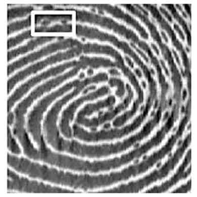 anti-spoofing analysis