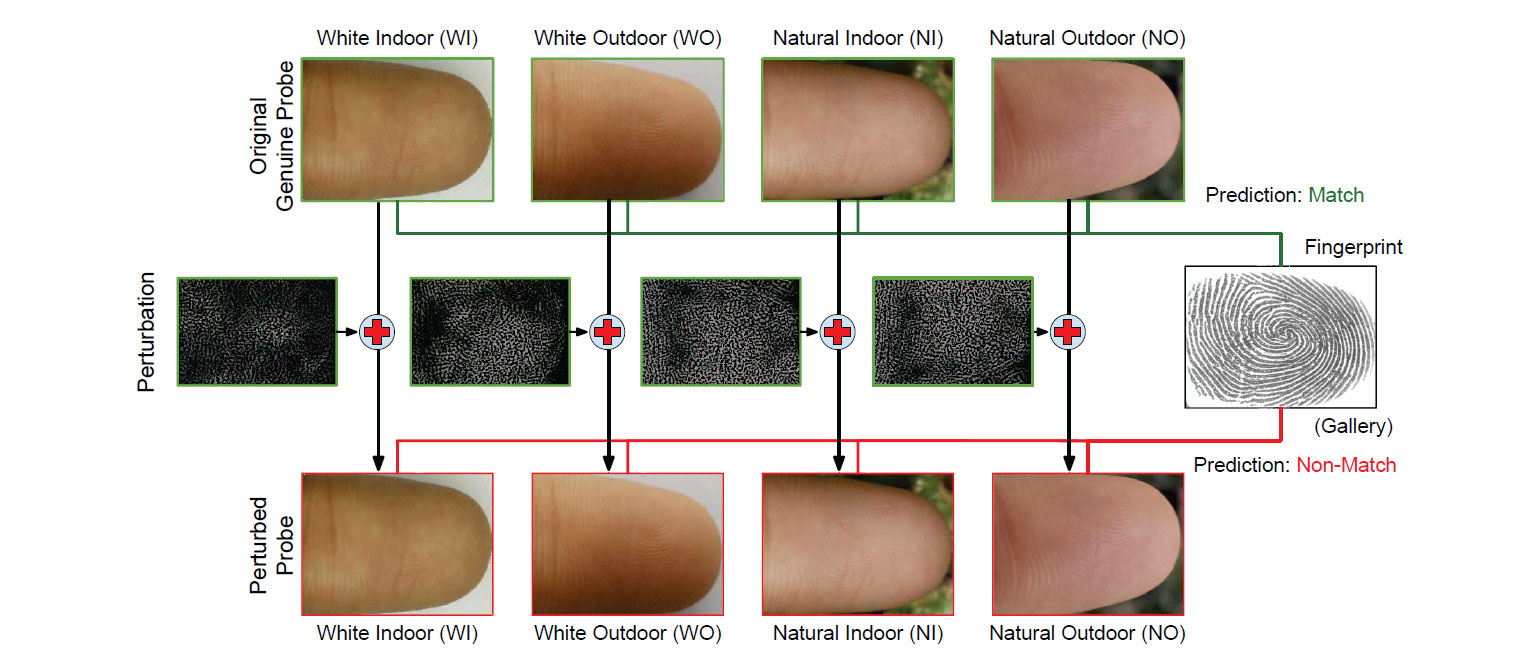 Original genuine finger-selfie images getting misclassified as non-match after adding the perturbation image.