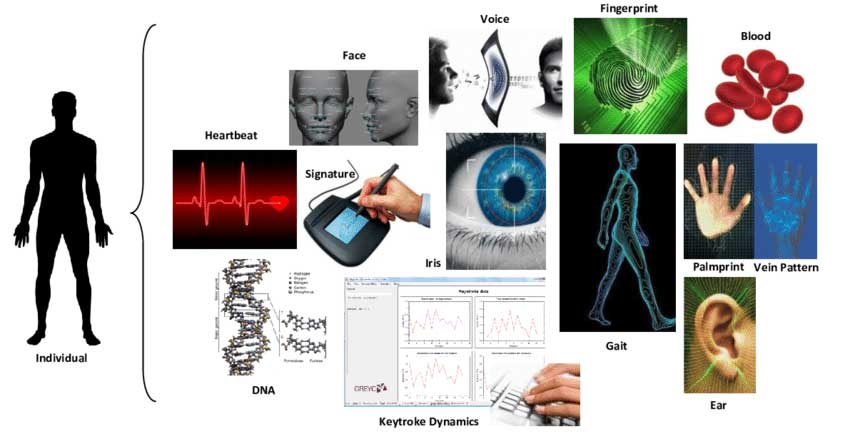 Biometrics From Theory to Reality