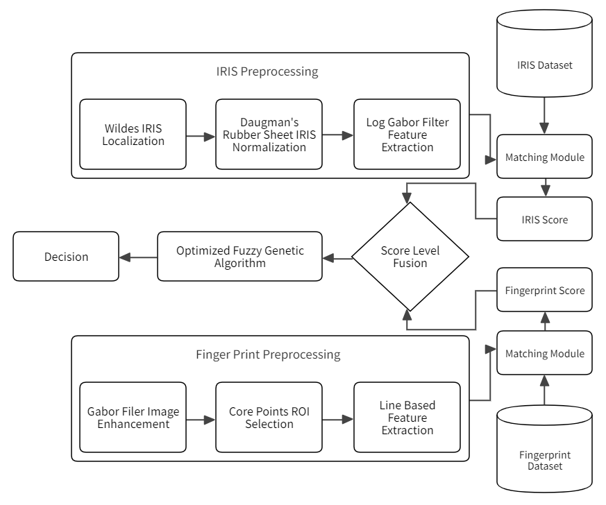 Multimodal Biometric Fusion Levels